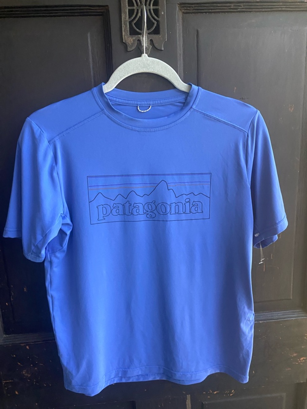 Patagonia Royal Blue Performance Logo Tee